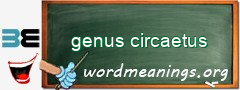 WordMeaning blackboard for genus circaetus